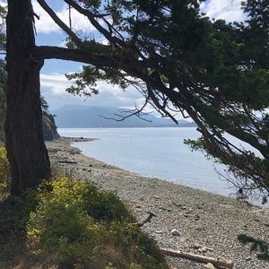 Meet your Posher, Patty